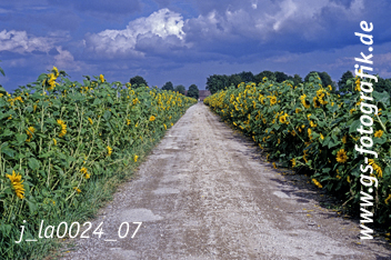 Bild in den Warenkorb click Bild in den Warenkorb click