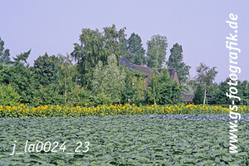 Bild in den Warenkorb click Bild in den Warenkorb click