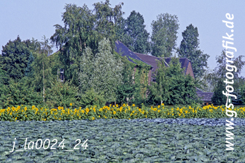 Bild in den Warenkorb click Bild in den Warenkorb click