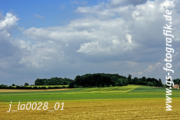 Bild in den Warenkorb legen Bild in den Warenkorb legen