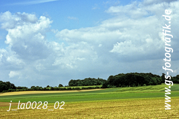 Bild in den Warenkorb legen Bild in den Warenkorb legen