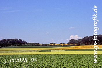 Bild in den Warenkorb legen Bild in den Warenkorb legen