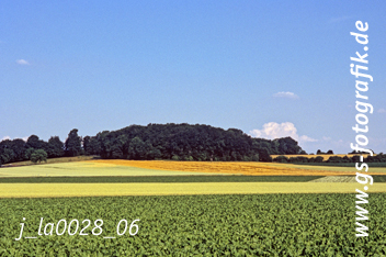 Bild in den Warenkorb legen Bild in den Warenkorb legen