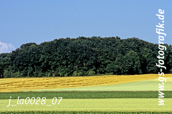 Bild in den Warenkorb legen Bild in den Warenkorb legen