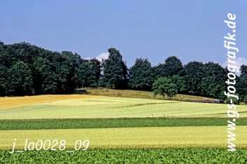 Bild in den Warenkorb legen Bild in den Warenkorb legen