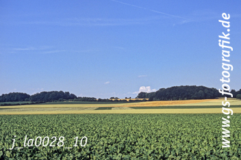 Bild in den Warenkorb legen Bild in den Warenkorb legen