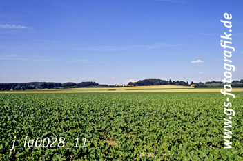 Bild in den Warenkorb legen Bild in den Warenkorb legen