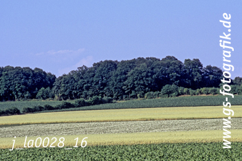 Bild in den Warenkorb legen Bild in den Warenkorb legen