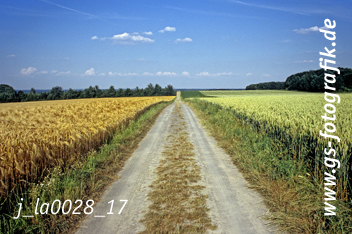 Bild in den Warenkorb legen Bild in den Warenkorb legen