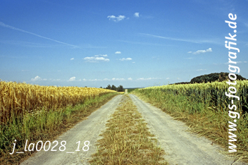 Bild in den Warenkorb legen Bild in den Warenkorb legen