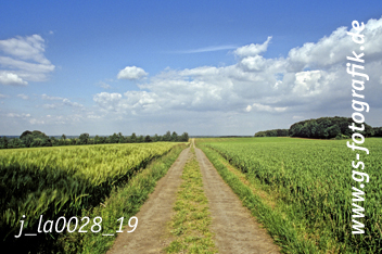 Bild in den Warenkorb legen Bild in den Warenkorb legen