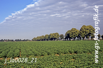 Bild in den Warenkorb legen Bild in den Warenkorb legen