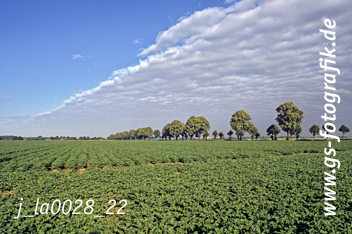 Bild in den Warenkorb legen Bild in den Warenkorb legen