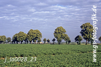 Bild in den Warenkorb legen Bild in den Warenkorb legen