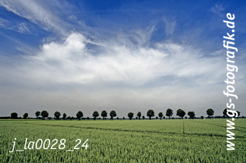 Bild in den Warenkorb legen Bild in den Warenkorb legen