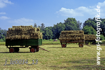 Bild in den Warenkorb legen