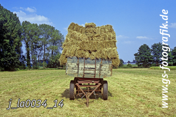 Bild in den Warenkorb legen