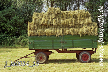 Bild in den Warenkorb legen