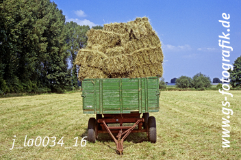 Bild in den Warenkorb legen