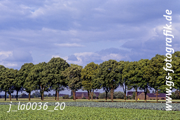 Bild in den Warenkorb legen