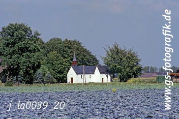 Bild in den Warenkorb legen