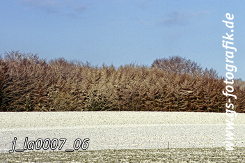 Bild in den Warenkorb legen Bild in den Warenkorb legen