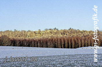 Bild in den Warenkorb legen Bild in den Warenkorb legen