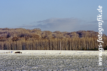 Bild in den Warenkorb legen Bild in den Warenkorb legen
