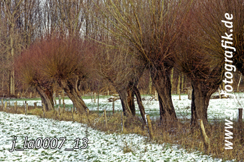 Bild in den Warenkorb legen Bild in den Warenkorb legen