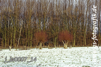 Bild in den Warenkorb legen Bild in den Warenkorb legen