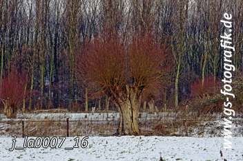 Bild in den Warenkorb legen Bild in den Warenkorb legen