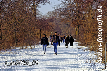 Bild in den Warenkorb legen Bild in den Warenkorb legen