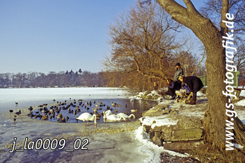 Bild in den Warenkorb legen Bild in den Warenkorb legen