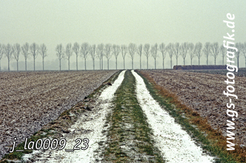 Bild in den Warenkorb legen Bild in den Warenkorb legen