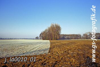 Bild in den Warenkorb legen Bild in den Warenkorb legen