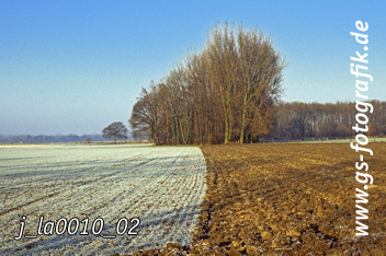 Bild in den Warenkorb legen Bild in den Warenkorb legen