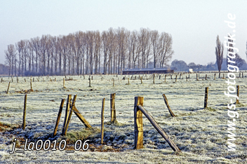 Bild in den Warenkorb legen Bild in den Warenkorb legen