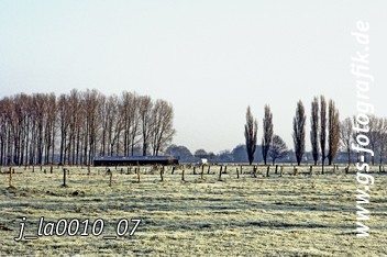 Bild in den Warenkorb legen Bild in den Warenkorb legen