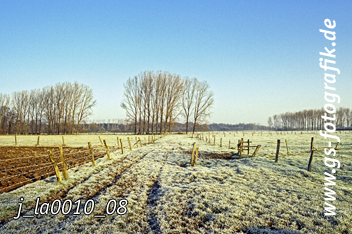 Bild in den Warenkorb legen Bild in den Warenkorb legen