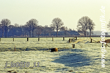 Bild in den Warenkorb legen Bild in den Warenkorb legen