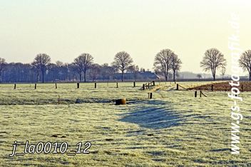 Bild in den Warenkorb legen Bild in den Warenkorb legen