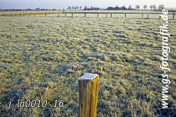 Bild in den Warenkorb legen Bild in den Warenkorb legen