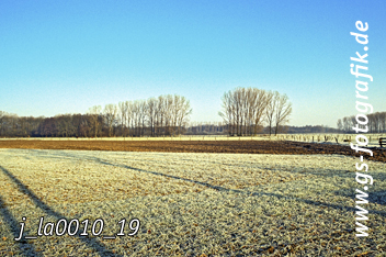 Bild in den Warenkorb legen Bild in den Warenkorb legen