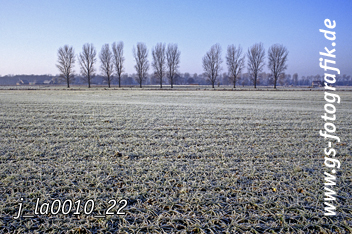 Bild in den Warenkorb legen Bild in den Warenkorb legen