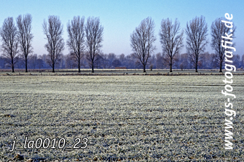 Bild in den Warenkorb legen Bild in den Warenkorb legen