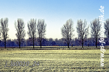 Bild in den Warenkorb legen Bild in den Warenkorb legen