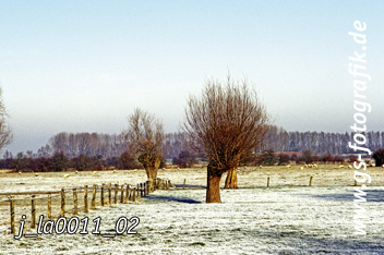 Bild in den Warenkorb legen Bild in den Warenkorb legen