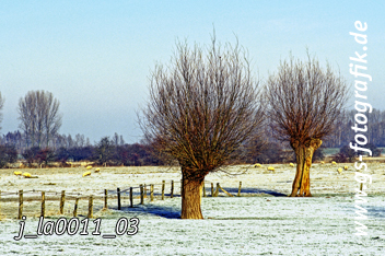 Bild in den Warenkorb legen Bild in den Warenkorb legen