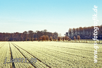 Bild in den Warenkorb legen Bild in den Warenkorb legen