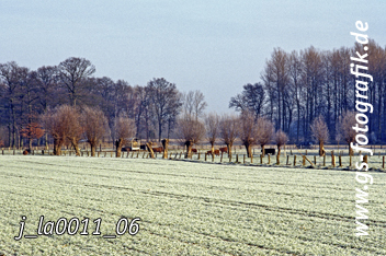 Bild in den Warenkorb legen Bild in den Warenkorb legen